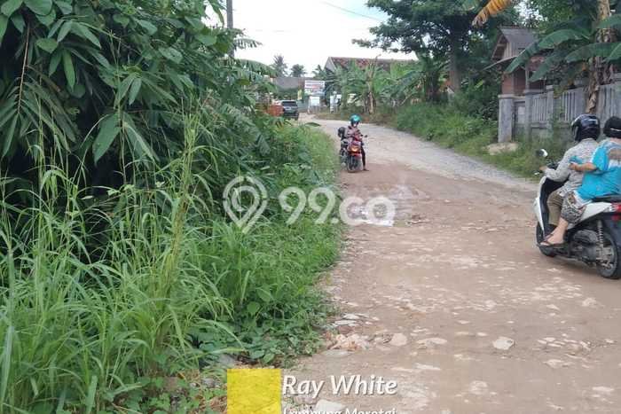 Tanah Kosong Dijual di Lampung Selatan dengan Area 16256m2 Tanah Kosong Dijual di Lampung Selatan dengan Area 16256m2