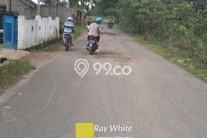 Tanah Kosong Dijual di Lampung Selatan dengan Area 16256m2 Tanah Kosong Dijual di Lampung Selatan dengan Area 16256m2