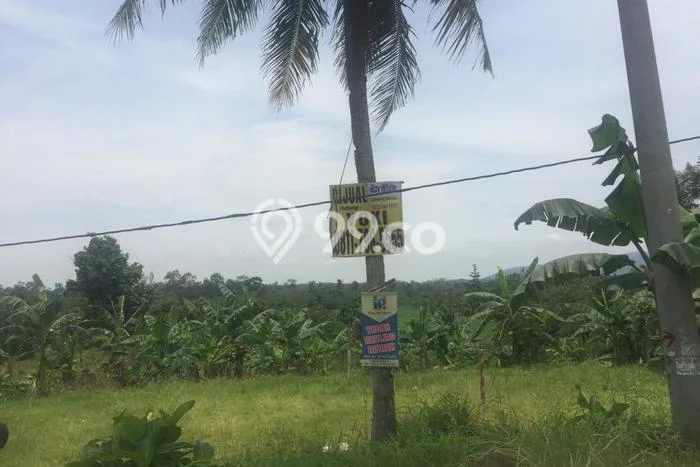 Tanah Dijual Lokasi Katibung, Lampung Selatan Luas 16470m2 Legalitas Aman Tanah Dijual Lokasi Katibung, Lampung Selatan Luas 16470m2 Legalitas Aman