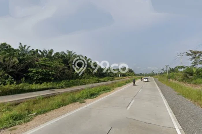 Lahan Investasi Lokasi Jati Agung Lampung Selatan SHM Lahan Investasi Lokasi Jati Agung Lampung Selatan SHM