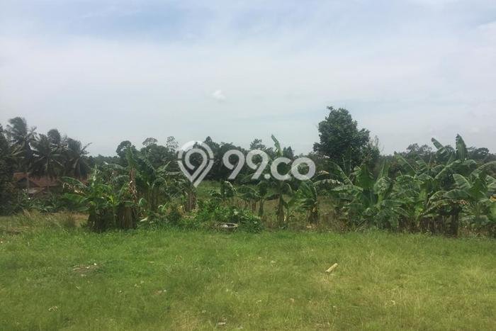 Dijual Tanah di Katibung Lampung Selatan Luas 16470m2 SHM Dijual Tanah di Katibung Lampung Selatan Luas 16470m2 SHM