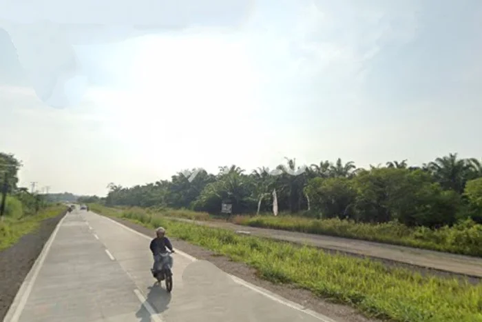 Lahan Investasi Lokasi Jati Agung Lampung Selatan SHM Lahan Investasi Lokasi Jati Agung Lampung Selatan SHM