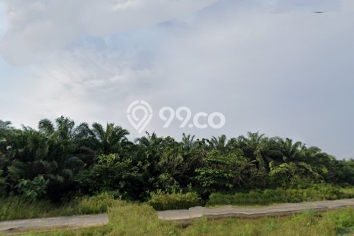 Lahan Investasi Lokasi Jati Agung Lampung Selatan SHM Lahan Investasi Lokasi Jati Agung Lampung Selatan SHM
