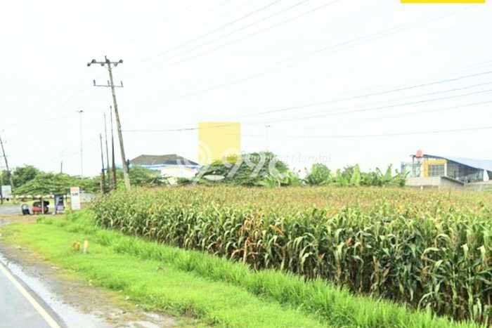 Lahan Dijual Lokasi Kalianda, Lampung Selatan dengan Luas Tanah 40665m2 dan Status SHM Lahan Dijual Lokasi Kalianda, Lampung Selatan dengan Luas Tanah 40665m2 dan Status SHM