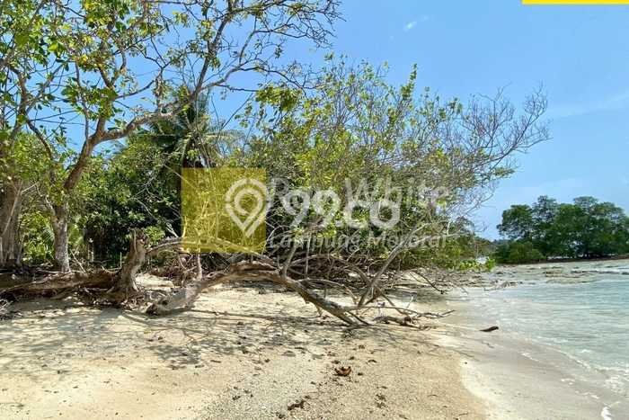 Tanah Kavling untuk Dijual di Punduh Pidada Pesawaran 79360m2 Tanah Kavling untuk Dijual di Punduh Pidada Pesawaran 79360m2