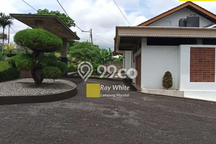 Siap Huni Rumah Mewah 4 Kamar di Tanjung Karang Barat Dekat ke Mana Saja Siap Huni Rumah Mewah 4 Kamar di Tanjung Karang Barat Dekat ke Mana Saja