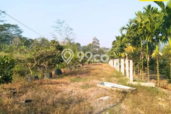 Lahan untuk Dijual Lokasi Padang Cermin, Pesawaran Luas 23258m2 SHM Lahan untuk Dijual Lokasi Padang Cermin, Pesawaran Luas 23258m2 SHM