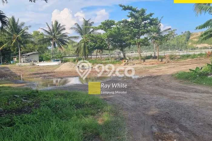 Dijual Tanah di Bakauheni Lampung Selatan Luas 206830m2 SHM Dijual Tanah di Bakauheni Lampung Selatan Luas 206830m2 SHM