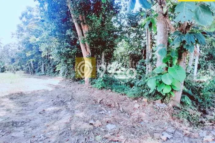 Tanah untuk Dijual di Tanjung Bintang Lampung Selatan Luas 75241m2 Tanah untuk Dijual di Tanjung Bintang Lampung Selatan Luas 75241m2