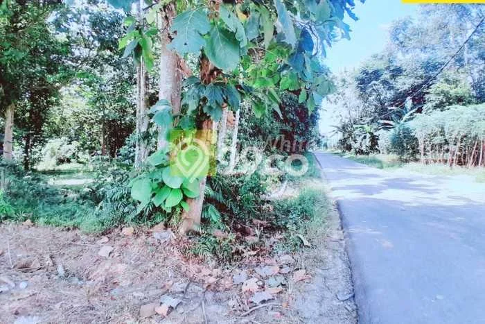 Tanah untuk Dijual di Tanjung Bintang Lampung Selatan Luas 75241m2 Tanah untuk Dijual di Tanjung Bintang Lampung Selatan Luas 75241m2