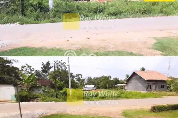 Tanah Dijual Lokasi Jati Agung, Lampung Selatan Luas 2048m2 Legalitas Aman Tanah Dijual Lokasi Jati Agung, Lampung Selatan Luas 2048m2 Legalitas Aman