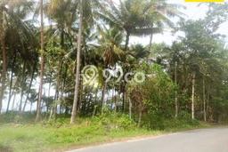 Dijual Tanah Lokasi Krui Selatan, Lampung Barat Seluas 3596m2 Dijual Tanah Lokasi Krui Selatan, Lampung Barat Seluas 3596m2