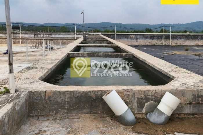 Area Ramai! Gudang Dijual di Sidomulyo untuk Bisnis Luas Bangunan 29400m2 Area Ramai! Gudang Dijual di Sidomulyo untuk Bisnis Luas Bangunan 29400m2