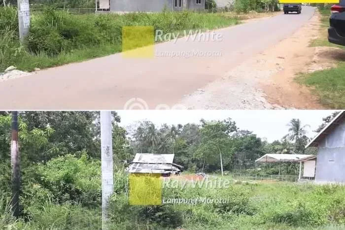 Tanah Dijual Lokasi Jati Agung, Lampung Selatan Luas 2048m2 Legalitas Aman Tanah Dijual Lokasi Jati Agung, Lampung Selatan Luas 2048m2 Legalitas Aman