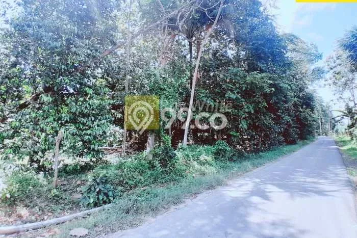 Tanah untuk Dijual di Tanjung Bintang Lampung Selatan Luas 75241m2 Tanah untuk Dijual di Tanjung Bintang Lampung Selatan Luas 75241m2