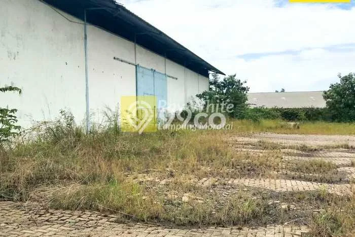 Gudang bagus disewakan di Tanjung Karang Timur Bandar Lampung dengan LB 1200m2 harga sewa terbaik Gudang bagus disewakan di Tanjung Karang Timur Bandar Lampung dengan LB 1200m2 harga sewa terbaik