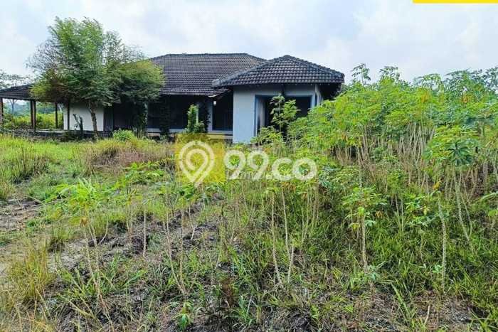 Jarang Ada! Tanah di Way Pengubuan Punya Luas 19915m2 SHM Jarang Ada! Tanah di Way Pengubuan Punya Luas 19915m2 SHM