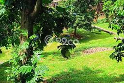 Tanah Kavling untuk Dijual di Jagakarsa Jakarta Selatan 1500m2 Tanah Kavling untuk Dijual di Jagakarsa Jakarta Selatan 1500m2