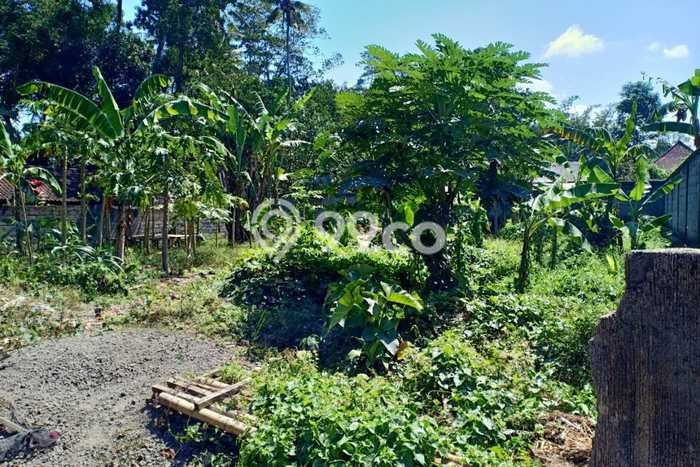 Tanah Investasi Dijual di Gianyar Punya Luas 500m2 Tanah Investasi Dijual di Gianyar Punya Luas 500m2