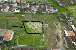 Disewakan Tanah Kawasan Canggu, Luas 1000m², Area Berkembang Disewakan Tanah Kawasan Canggu, Luas 1000m², Area Berkembang
