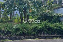 Tanah Kavling Dijual di Badung dengan Spesifikasi 1000m2 Tanah Kavling Dijual di Badung dengan Spesifikasi 1000m2