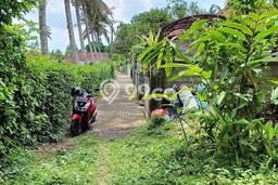 Tanah Kawasan Ubud, Luas 930m², Area Komersial Tanah Kawasan Ubud, Luas 930m², Area Komersial