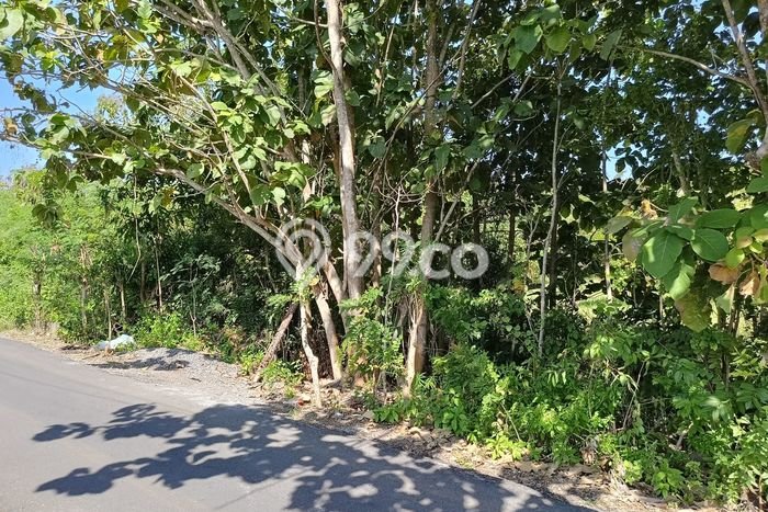 Lahan untuk Dijual Lokasi Kuta Selatan, Badung Luas 5750m2 SHM Lahan untuk Dijual Lokasi Kuta Selatan, Badung Luas 5750m2 SHM