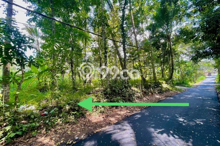 Tanah Dijual Lokasi Payangan, Gianyar Luas 2890m2 Legalitas Aman Tanah Dijual Lokasi Payangan, Gianyar Luas 2890m2 Legalitas Aman