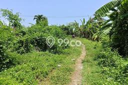 Jual Tanah Area Berkembang Kawasan Mengwi, Luas 200m², Akses Mengwi, Badung, Badung Jual Tanah Area Berkembang Kawasan Mengwi, Luas 200m², Akses Mengwi, Badung, Badung