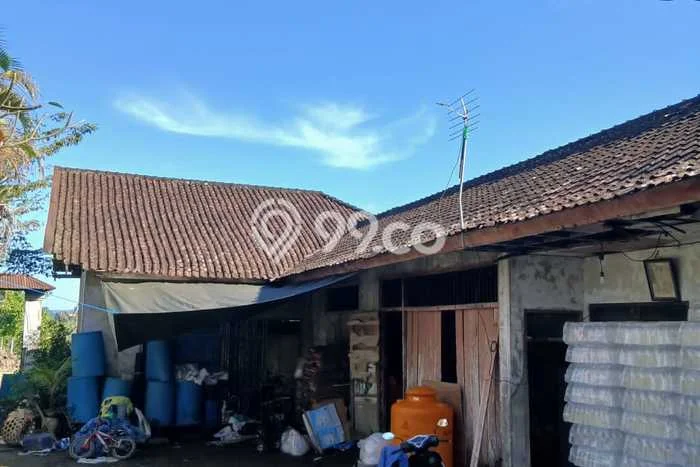 Tanah Kavling Dijual di Tabanan dengan Spesifikasi 8300m2 Tanah Kavling Dijual di Tabanan dengan Spesifikasi 8300m2