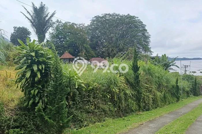 Lahan Dijual Lokasi Strategis di Tabanan dengan Luas 980m2 Lahan Dijual Lokasi Strategis di Tabanan dengan Luas 980m2