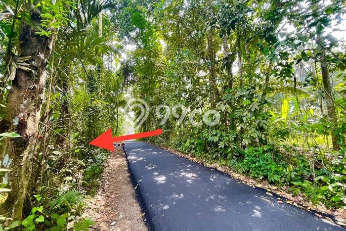 Tanah Dijual Lokasi Payangan, Gianyar Luas 2890m2 Legalitas Aman Tanah Dijual Lokasi Payangan, Gianyar Luas 2890m2 Legalitas Aman