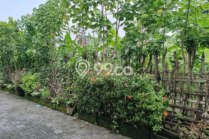 Dijual Tanah di Renon Denpasar Luas 1000m2 SHM Dijual Tanah di Renon Denpasar Luas 1000m2 SHM