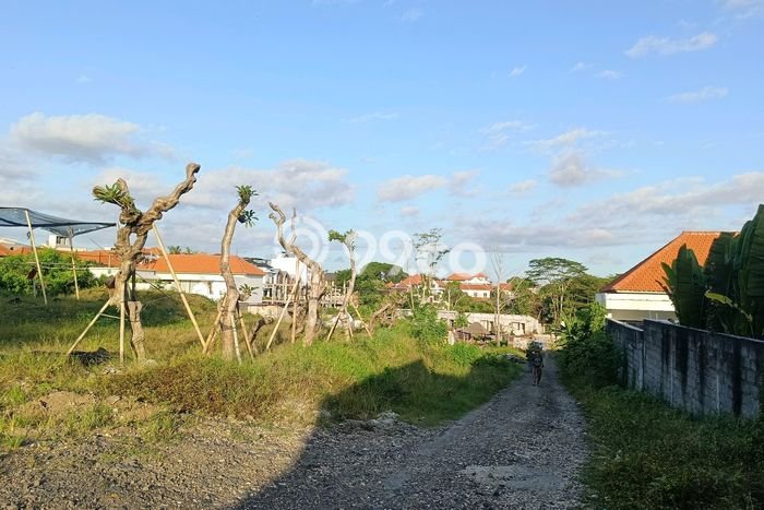 Lahan untuk Disewa di Badung Luas 5000m2 Lahan untuk Disewa di Badung Luas 5000m2