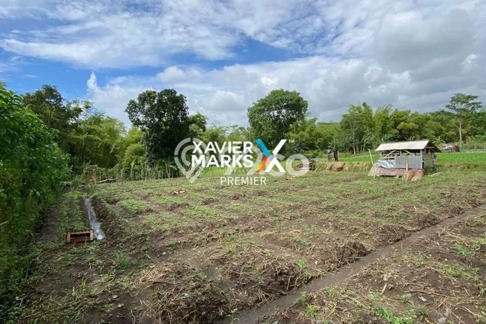 Tanah Dijual Lokasi Dau, Malang Luas 1200m2 Legalitas Aman Tanah Dijual Lokasi Dau, Malang Luas 1200m2 Legalitas Aman