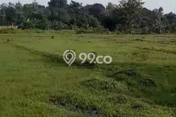 Tanah Dijual Lokasi Panongan, Tangerang dengan Luas Tanah 110000m2 dan Status SHM Tanah Dijual Lokasi Panongan, Tangerang dengan Luas Tanah 110000m2 dan Status SHM