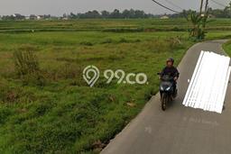 Jarang Ada! Tanah di Cisoka Punya Luas 230000m2 SHM Jarang Ada! Tanah di Cisoka Punya Luas 230000m2 SHM
