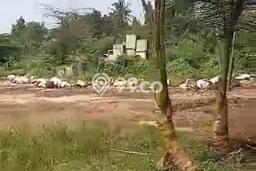 Tanah Komersial Dijual di Parung Bogor 37000m2 Tanah Komersial Dijual di Parung Bogor 37000m2