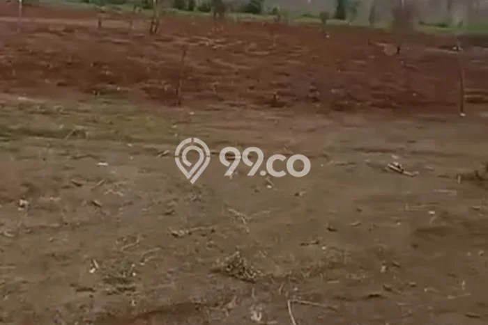 Lahan Kosong Dijual di Subang dengan Area 70000m2 Lahan Kosong Dijual di Subang dengan Area 70000m2