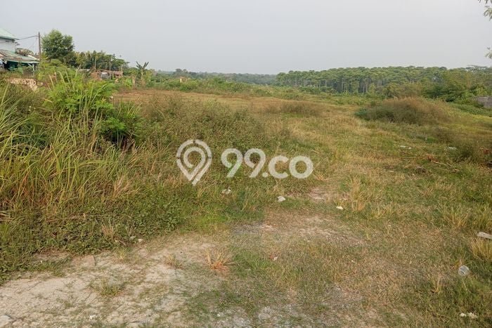 Tanah Kavling di Jawilan Dijual dengan Luas 100000m2 Tanah Kavling di Jawilan Dijual dengan Luas 100000m2