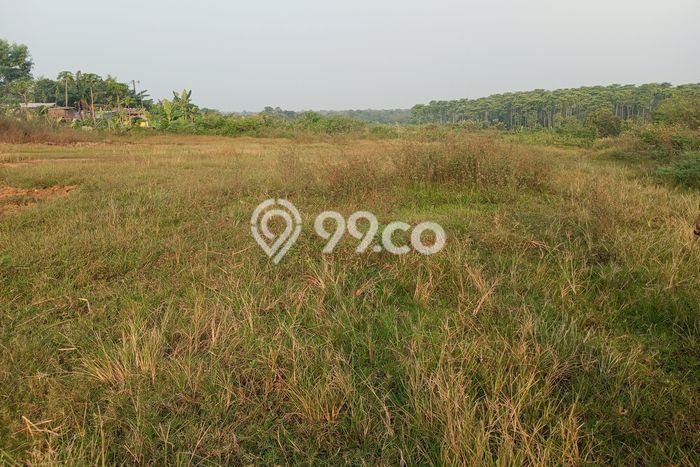 Tanah Kavling di Jawilan Dijual dengan Luas 100000m2 Tanah Kavling di Jawilan Dijual dengan Luas 100000m2
