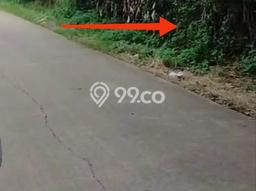 Tanah Strategis Dijual di Cisauk Tangerang 60000m2 Tanah Strategis Dijual di Cisauk Tangerang 60000m2