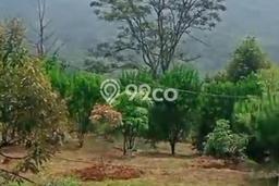Kavling Tanah Dijual di Cijambe Subang Spesifikasi 1.7e+06m2 Kavling Tanah Dijual di Cijambe Subang Spesifikasi 1.7e+06m2