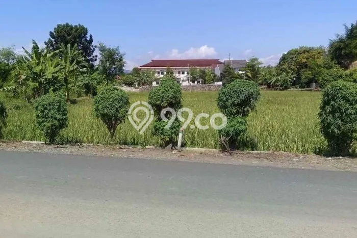 Tanah untuk Dijual di Cigasong Majalengka Luas 3505m2 Tanah untuk Dijual di Cigasong Majalengka Luas 3505m2