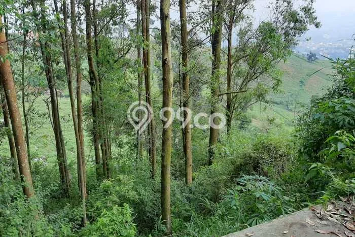Lahan Dijual Lokasi Coblong, Bandung dengan Luas Tanah 1100m2 dan Status SHM Lahan Dijual Lokasi Coblong, Bandung dengan Luas Tanah 1100m2 dan Status SHM