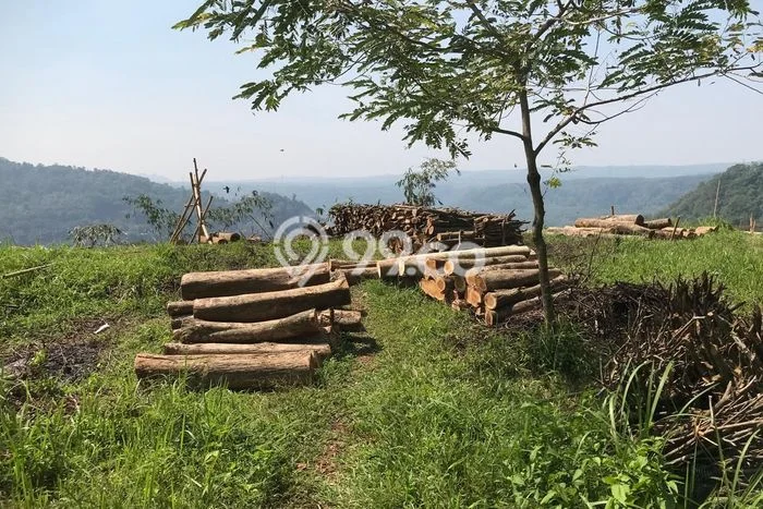 Tanah Kavling Dijual di Bandung Barat dengan Spesifikasi 2669m2 Tanah Kavling Dijual di Bandung Barat dengan Spesifikasi 2669m2