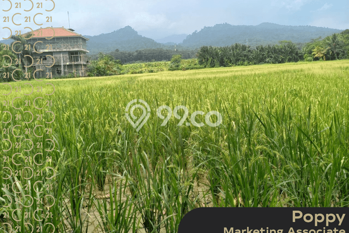 Dijual Tanah di Carita Pandeglang Luas 30000m2 SHM Dijual Tanah di Carita Pandeglang Luas 30000m2 SHM