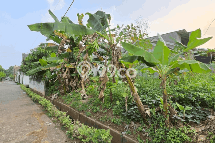 Kavling Tanah Dijual di Setu, Bekasi, Luas 156m2 Area Strategis Kavling Tanah Dijual di Setu, Bekasi, Luas 156m2 Area Strategis