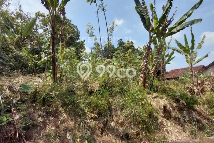 Tanah Kavling di Ciampea Dijual dengan Luas 1052m2 Tanah Kavling di Ciampea Dijual dengan Luas 1052m2