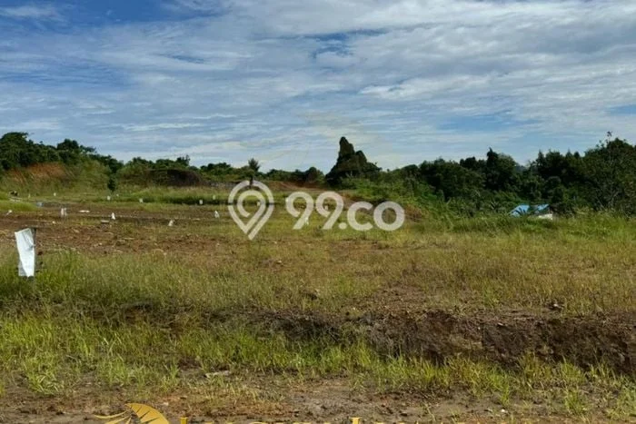 Tanah Investasi Dijual di Samarinda Punya Luas 256m2 Tanah Investasi Dijual di Samarinda Punya Luas 256m2